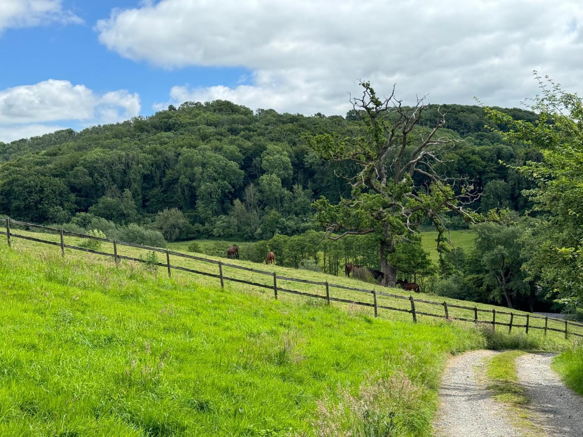 The Spring Slad Valley Cotswolds ペインズウィック エクステリア 写真